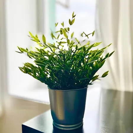 Lägenhet - Le Gestin - - Lumineux - Confort - Fibre Internet