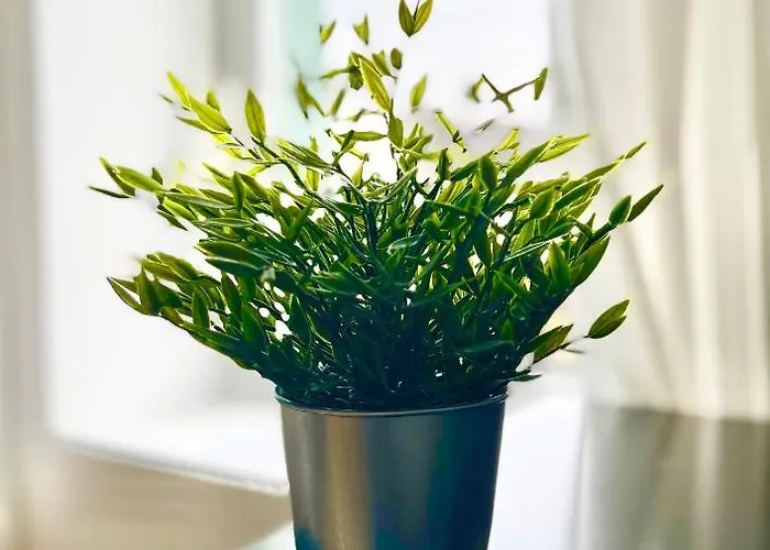 Appartement - Le Gestin - - Lumineux - Confort - Fibre Internet