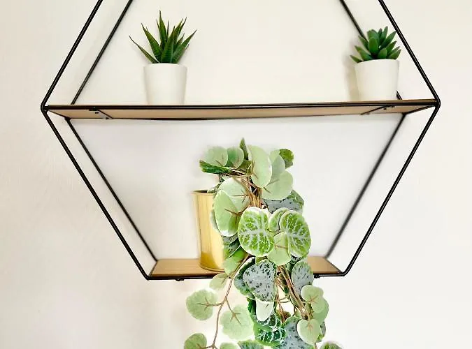 Apartman - Le Gestin - - Lumineux - Confort - Fibre Internet